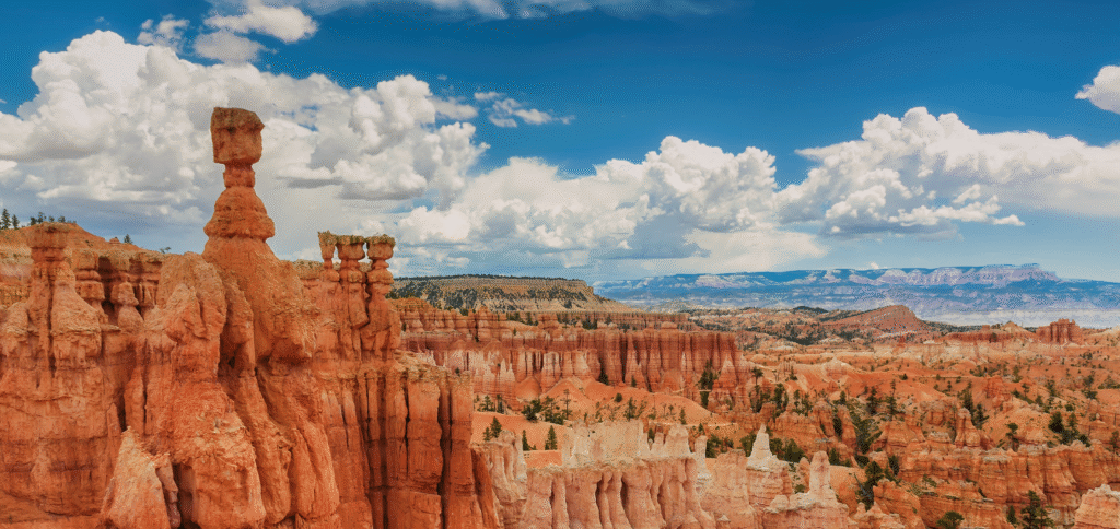 2 hour off-road tour (public/private)