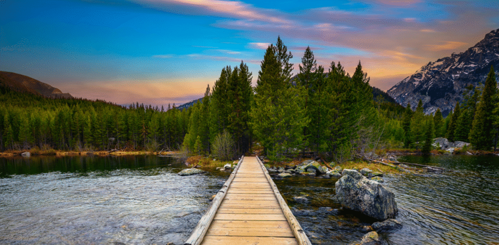 2 hour off-road tour (public/private)