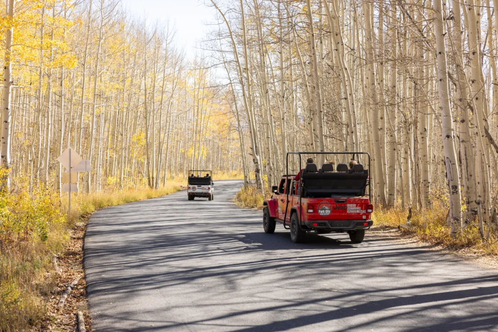 Park City Off-Road vs. Scenic Jeep Tour: Which Experience Is Right for You?